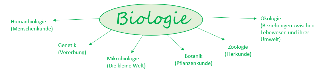 Biologie1